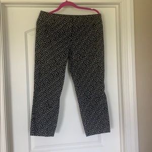 LOFT Marisa fit dress pants! Size 8